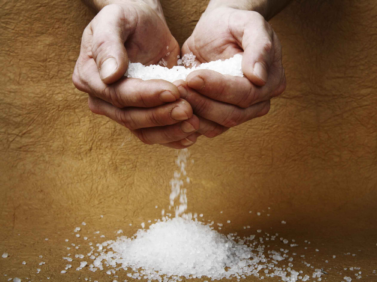 Фото: sun9-80.userapi.com