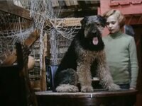 Кадр из советского кино Константина Бромберга «Приключения Электроника»