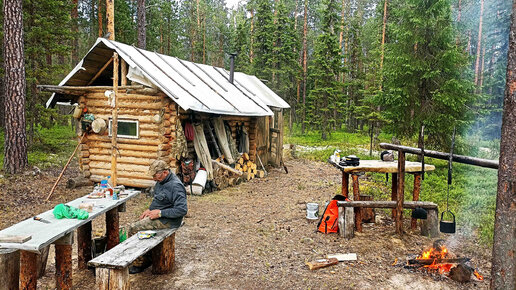 Наедине с тайгой фото избы