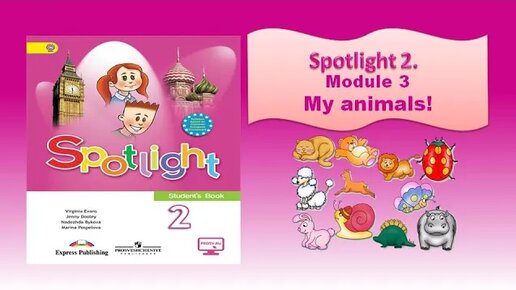 Spotlight 3 видеоурок. My animals Spotlight 2 класс. Спотлайт 2 стр 20. Spotlight Starter Module 2. Животные спотлайт 2 класс карточки.