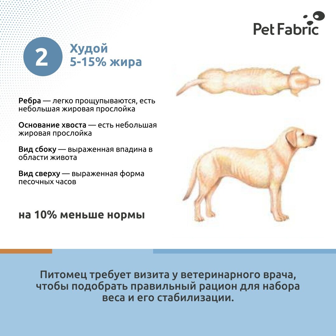 Наглядная схему по определению веса собаки