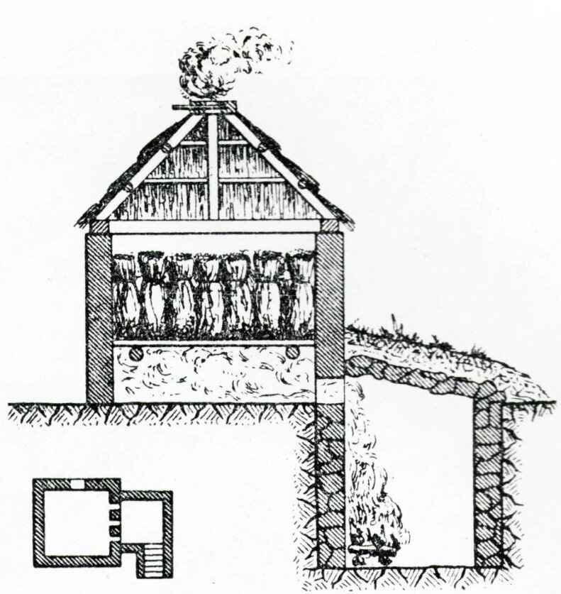 ОВИНЫ, иллюстрация из открытых источников