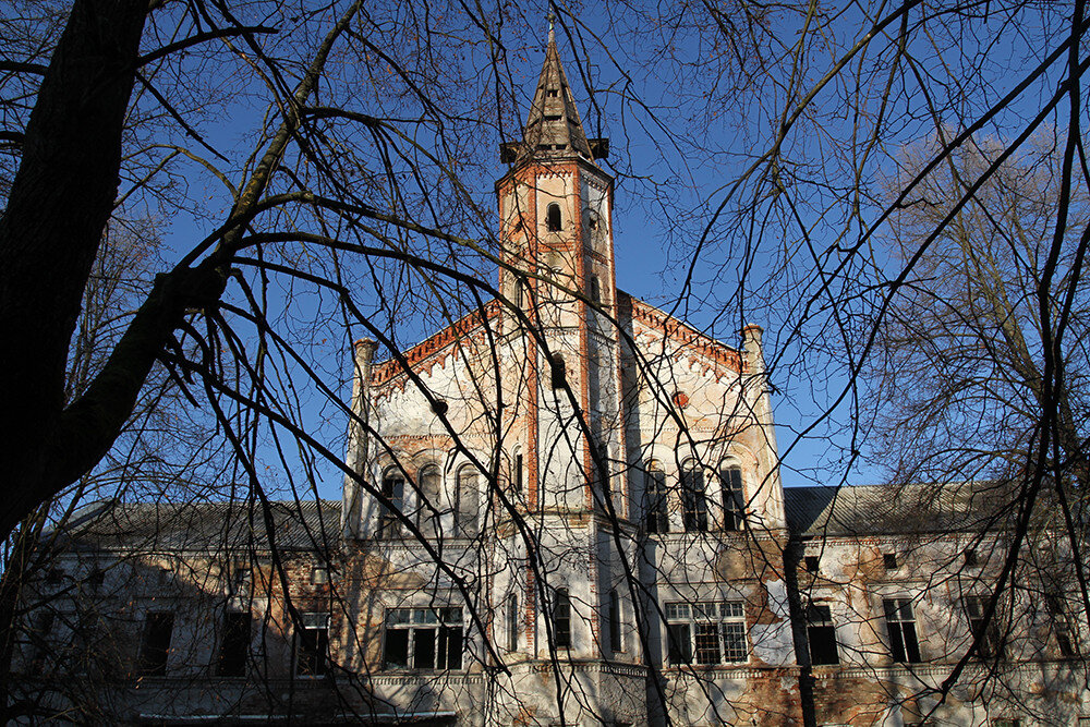 Фото в статье из открытых источников