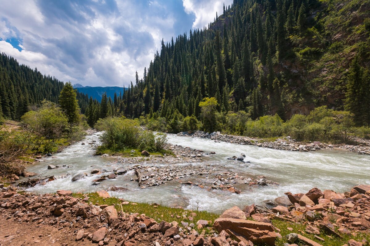 Фото: Антон Буценко