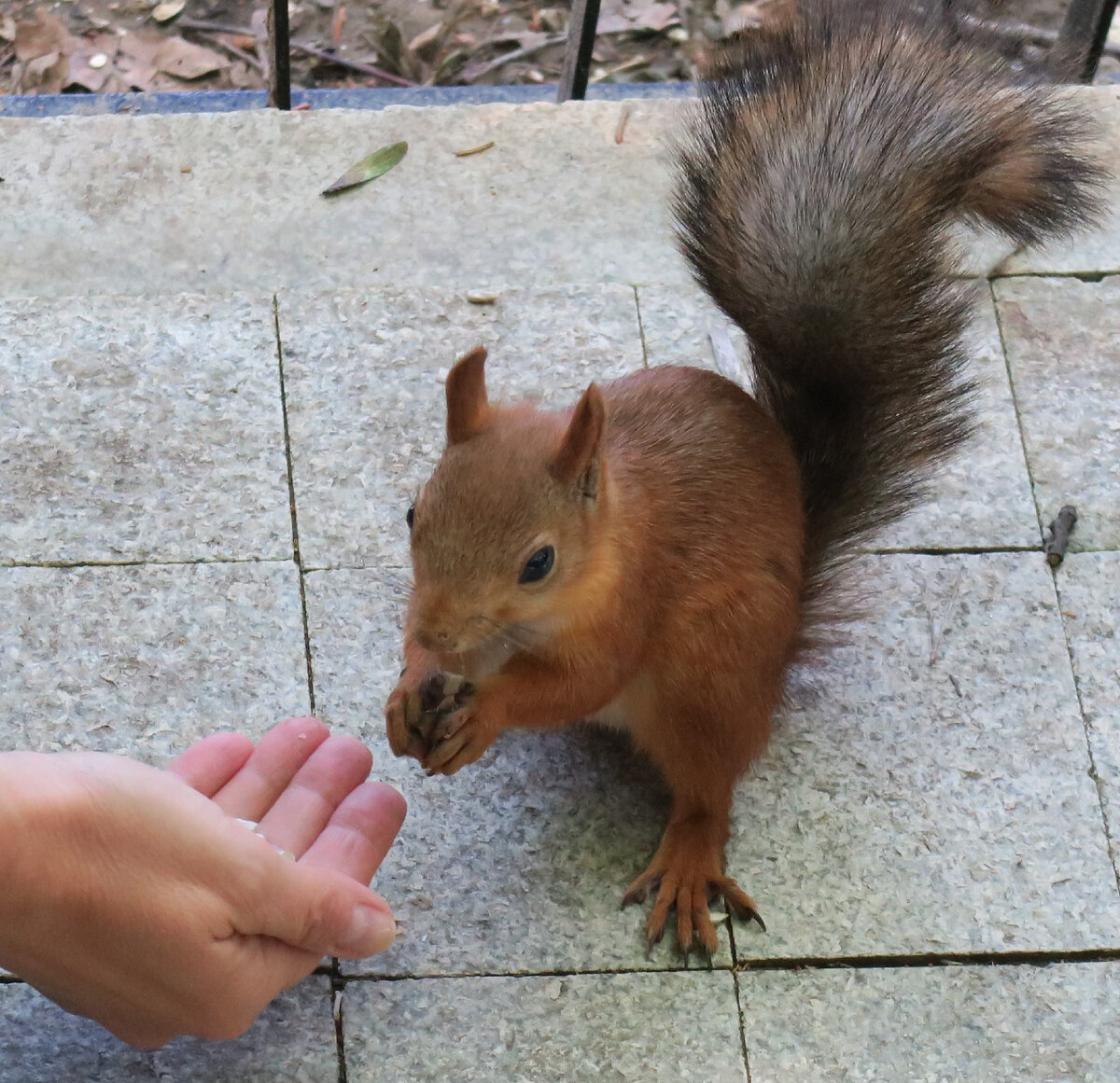 Она тут живет и кормится.