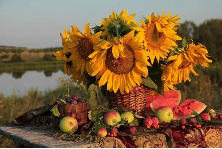 Август - это праздник!.. 
