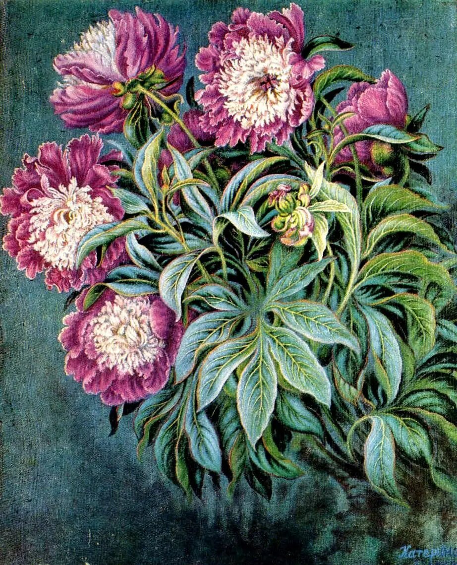 Невероятно красивые пионы. Каждый лепесток выписан с любовью. 