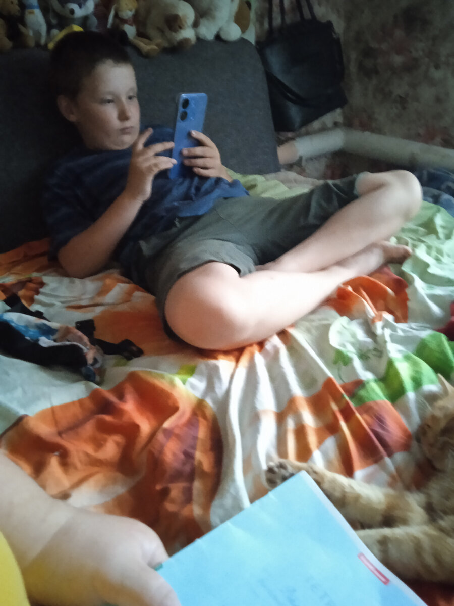 Рома в телефоне, отдыхает. Фото автора. 