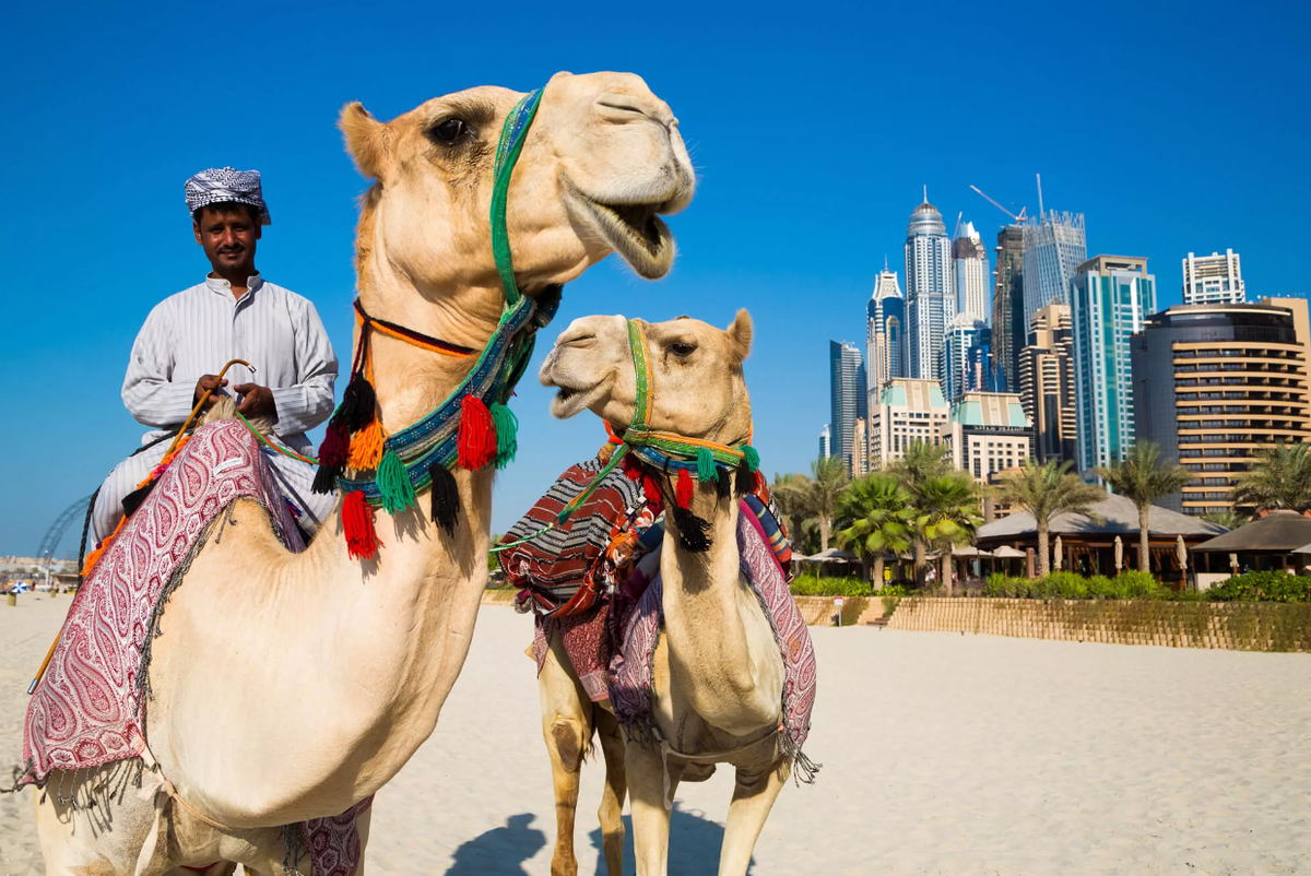 Последние годы сделали Дубай и вообще ближневосточное направление крайне популярным местом для отдыха: по статистике, до полумиллиона человек ежегодно проводят отпуск или просто время с семьёй или...