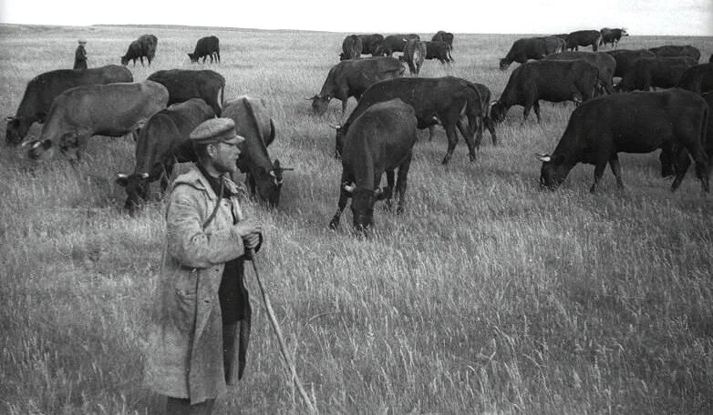В поле всегда необходимо быть начеку! Фото из открытых источников.