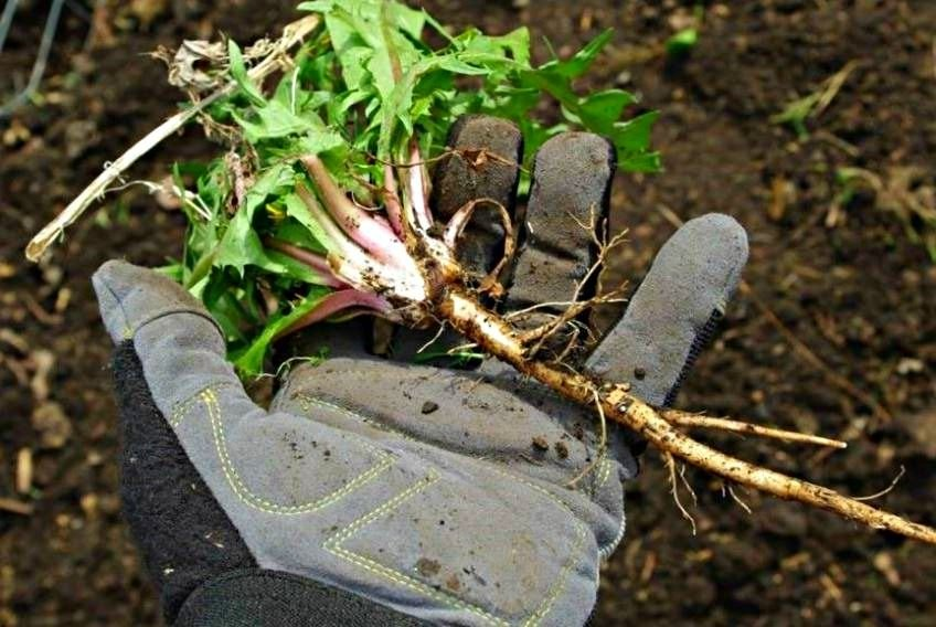 Ручная выкапывание