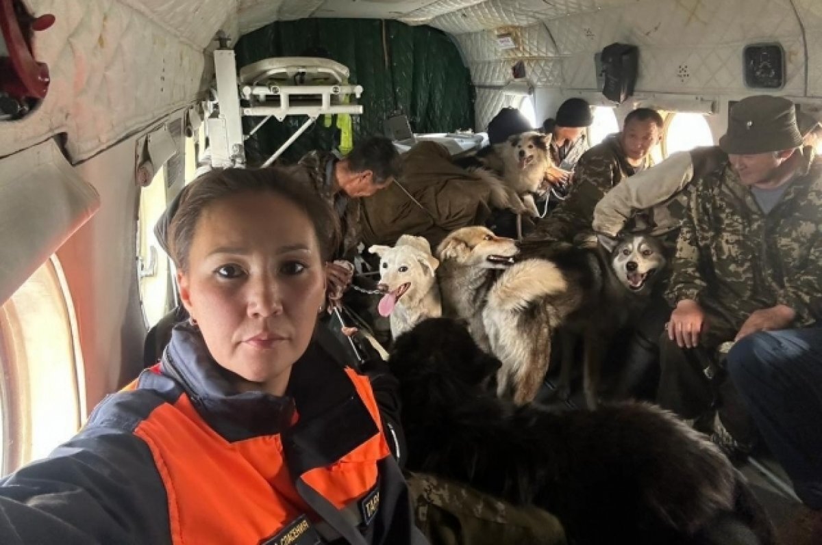    Оленеводов с собаками эвакуировали из зоны природного пожара в Якутии
