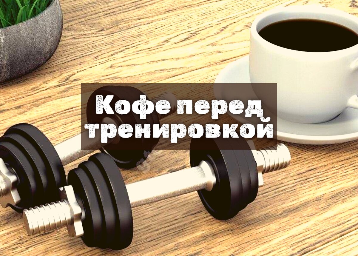 Свежеобжаренный кофе в зернах CoffeeCollection