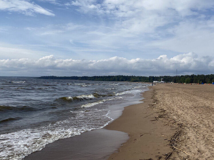     Финский залив. Фото: «МК в Питере»