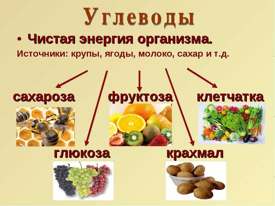 Углеводы польза для организма