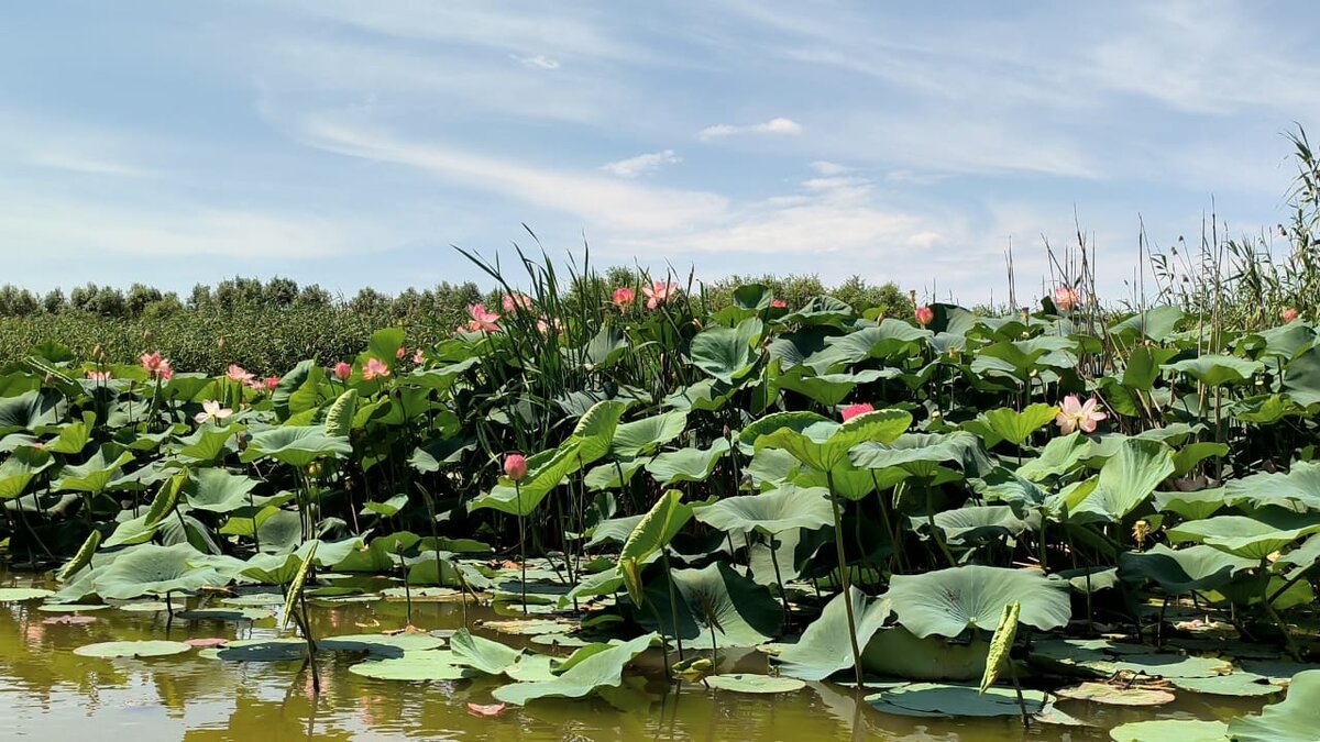 фотография из личного архива 
