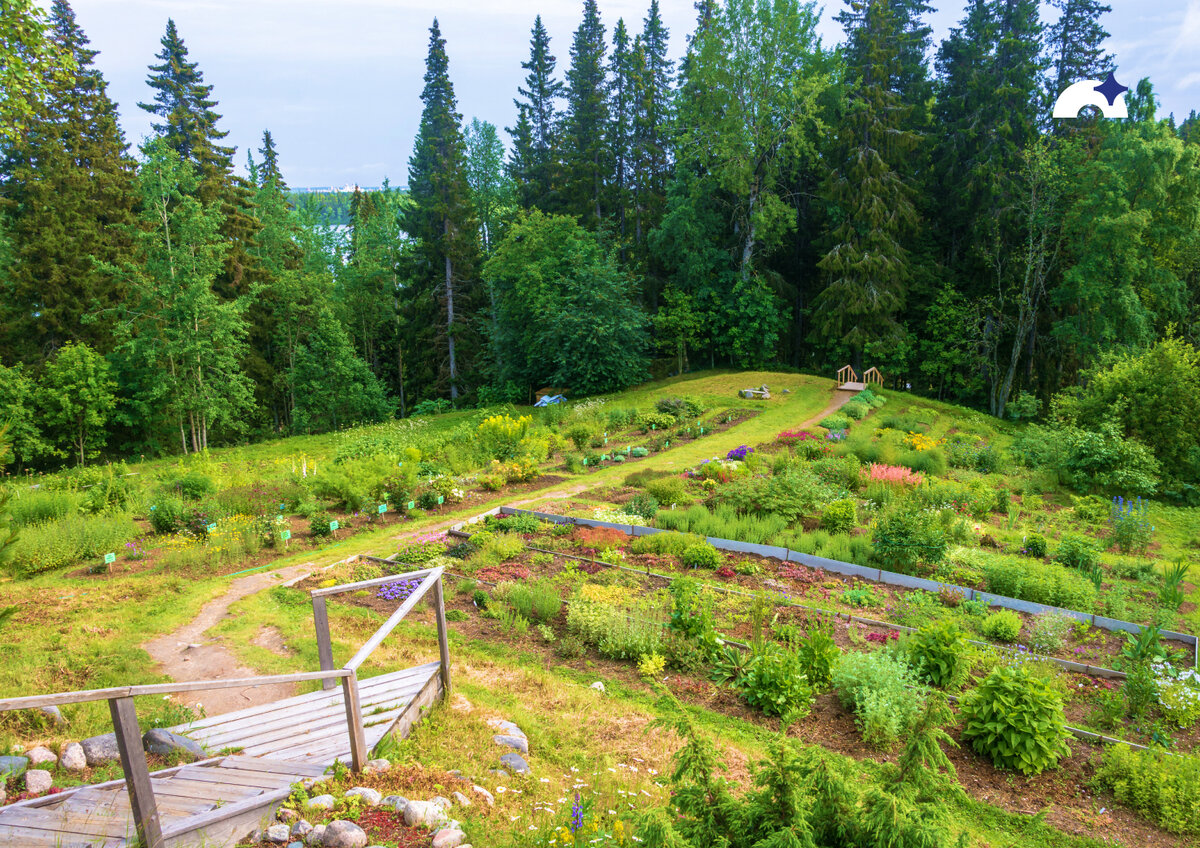 соловки макарьевская пустынь. музей заповедник соловки ботанический сад. соловецкий монастырь ботанический сад. соловецкий ботанический сад архангельская область. соловецкий ботанический сад архангельская область.