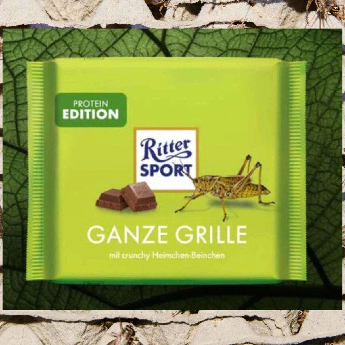 Зеленый квадратиш Ritter Sport, фото гуляющая по интернету