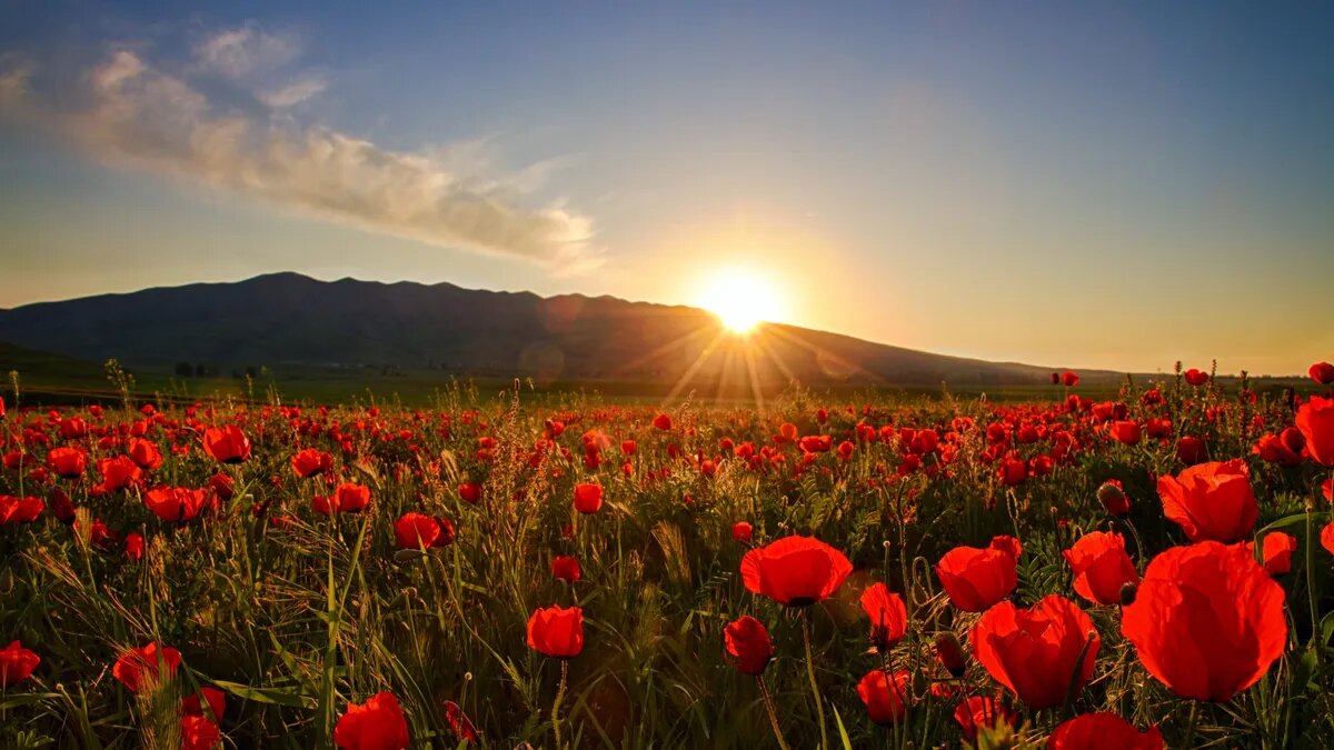 Мощная геомагнитная атака обрушится на Землю вечером. Фото: pxhere.com