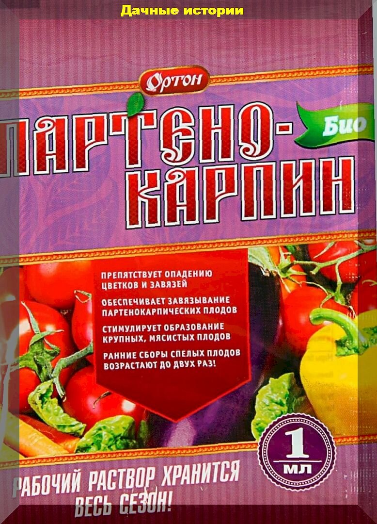 Томаты в начале июля: важные моменты ухода и агротехники, возможные ошибки  приводящие к потере урожая | Дачные истории | Дзен