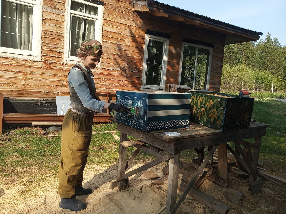 Попросил супругу покрасить корпусы новых ульев, но разв