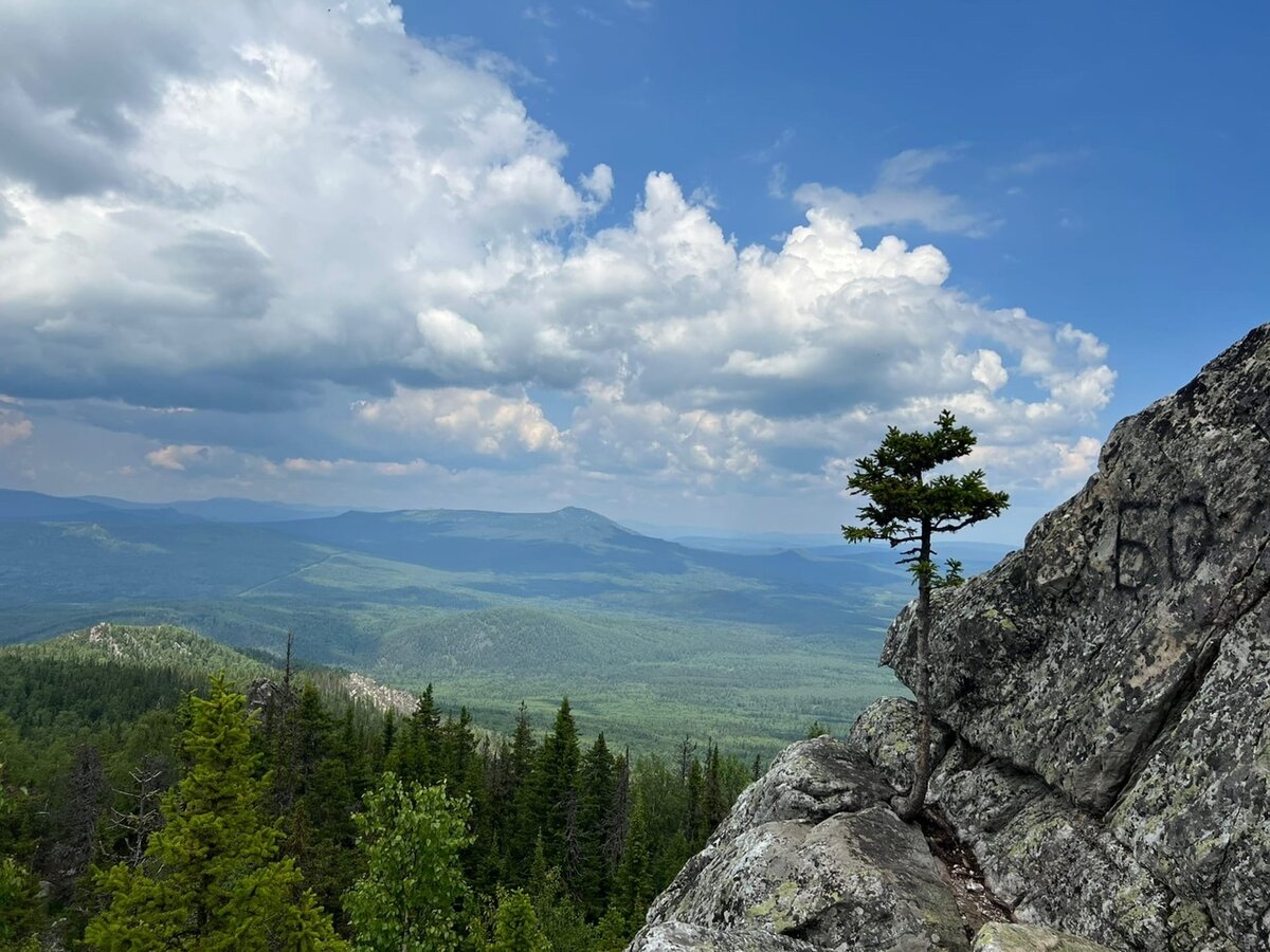 Панорама с горы малиновой