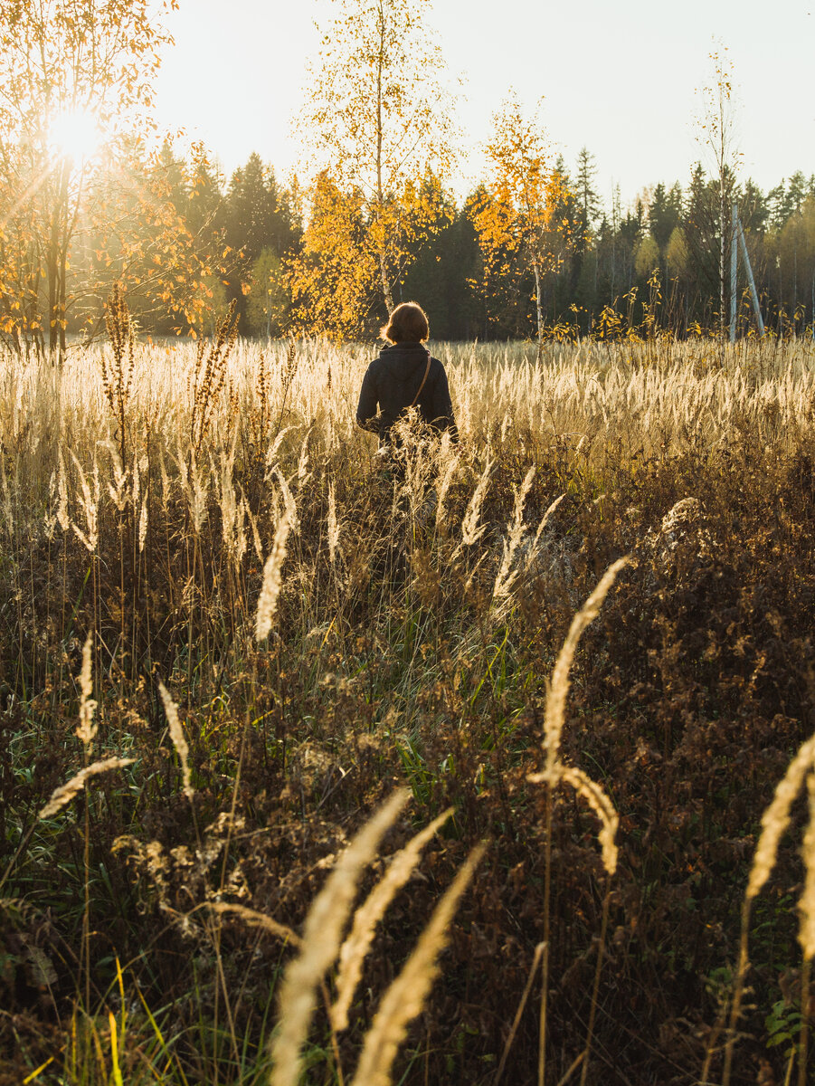 Фотография с Freepik