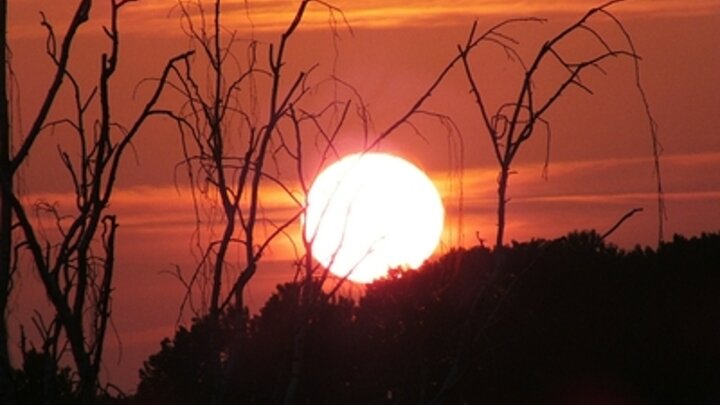 VICTOR LISITSYN, ВИКТОР ЛИСИЦЫН/GLOBALLOOKPRESS 