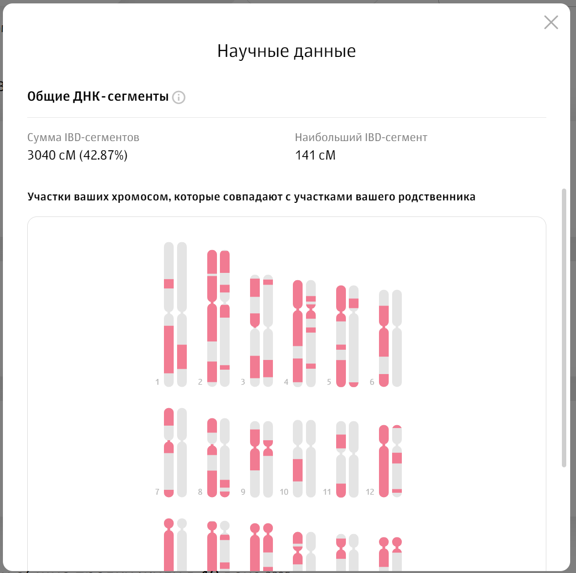 Общие ДНК-сегменты с моим братом