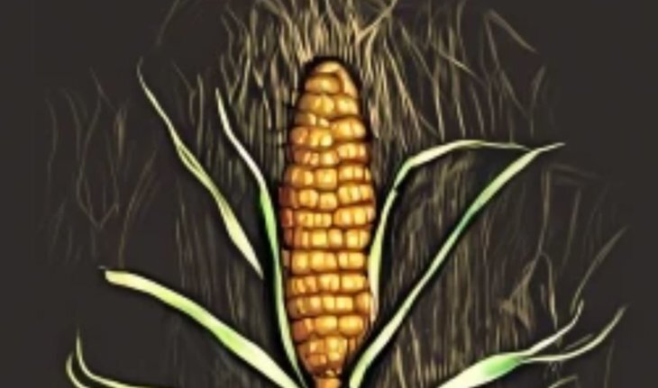    Минсельхоз РФ определил форму заключения для ГМО