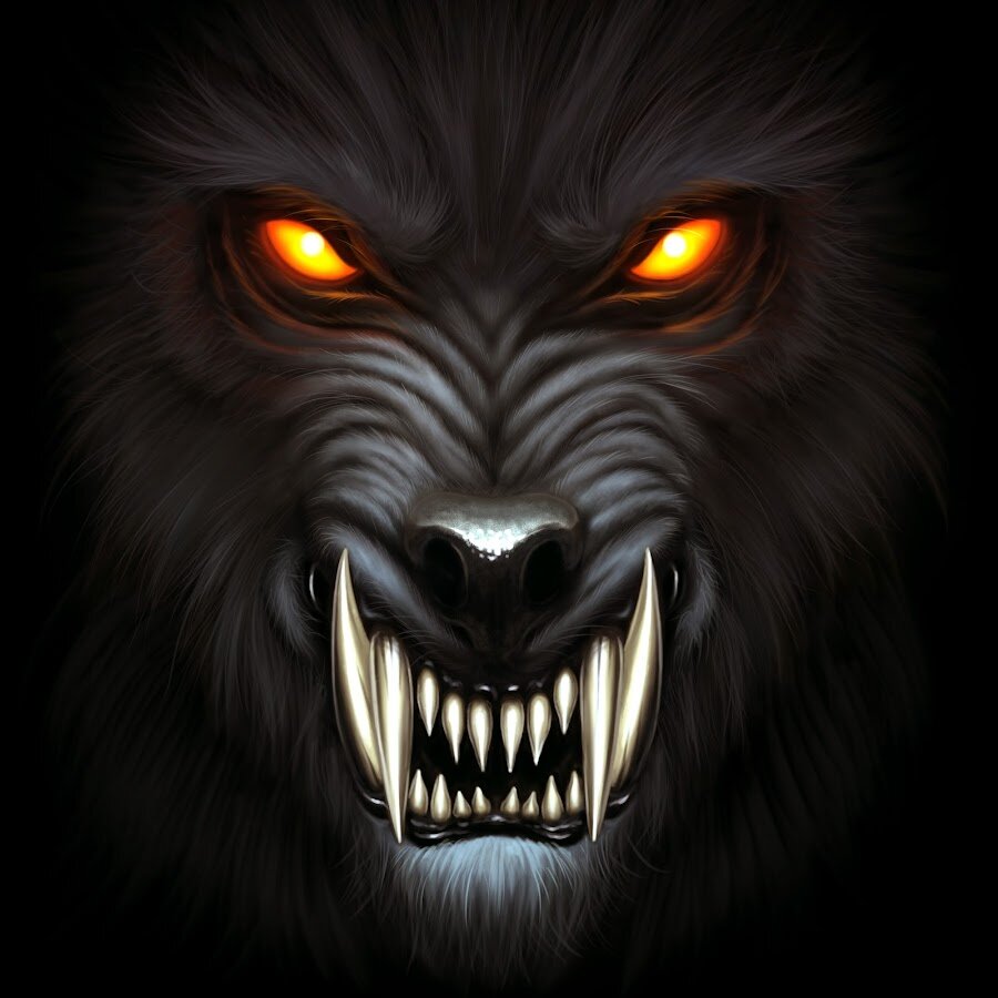 Яндекс картинки