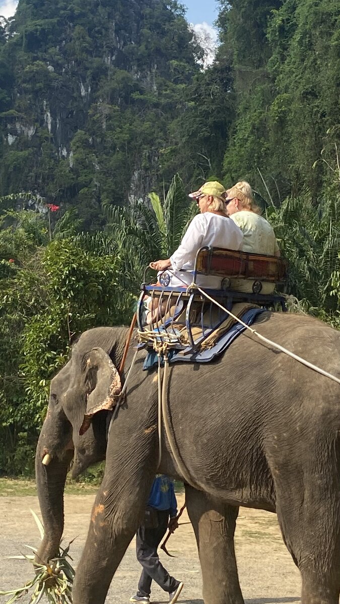 Слоники всё время что-то жуют на ходу:)