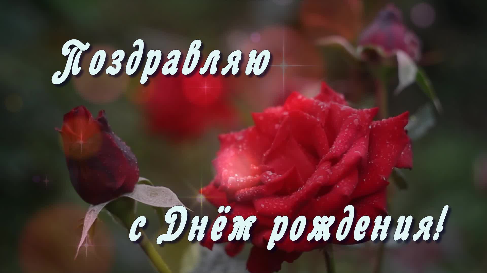 С днем рождения лида картинки