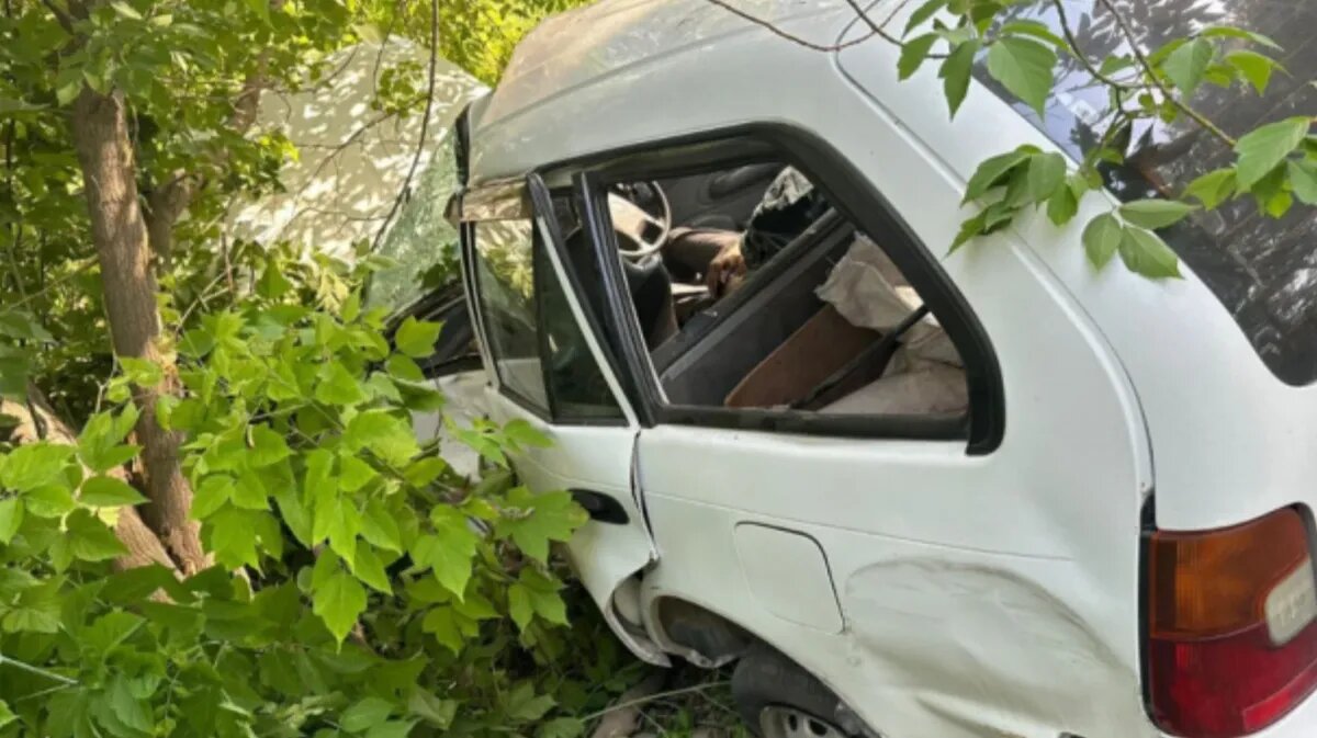Фото: ГИБДД Новосибирска