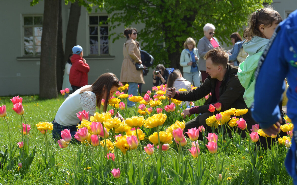 Традиционные ценности – признак здоровья.  Фото: Фото: ФедералПресс / Татьяна Буторина