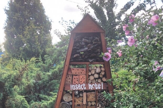    Гостиница для насекомых (фото Волгоградского регионального ботанического сада)