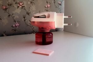    Фото: Общественная служба новостей Марина Черненкова