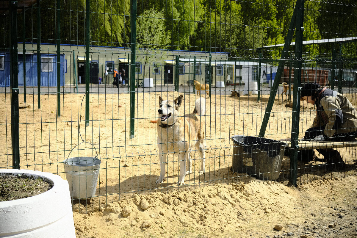 Мао на площадке