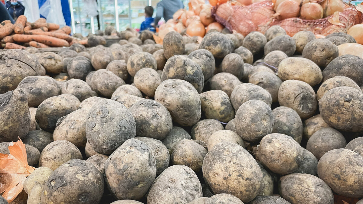    Экспорт за границу крупных партий картофеля, свеклы и моркови, выращенных на полях Волгоградской области, зафиксировали в Россельхознадзоре.