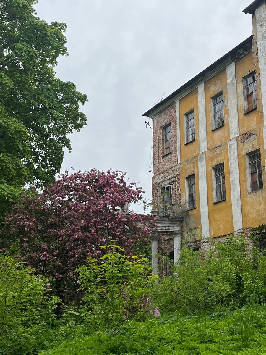    Дворянские усадьбы, озера и марсианские пейзажи — где отдохнуть в окрестностях Москвы (фото 1)