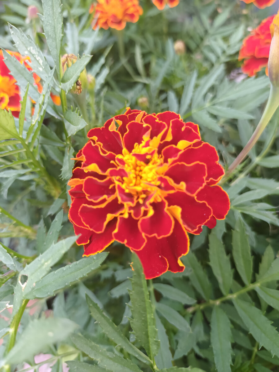 Фото автора. 