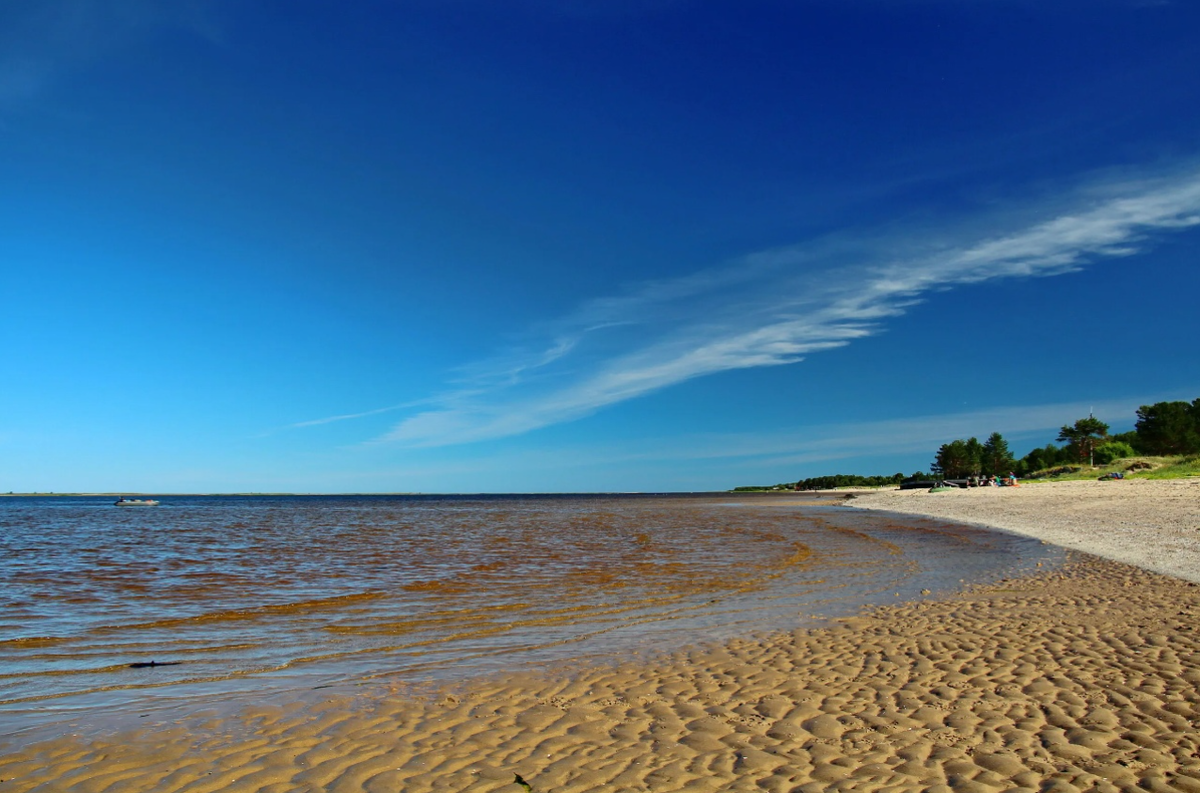 Открытки хорошего отдыха на море прикольные (63 фото)