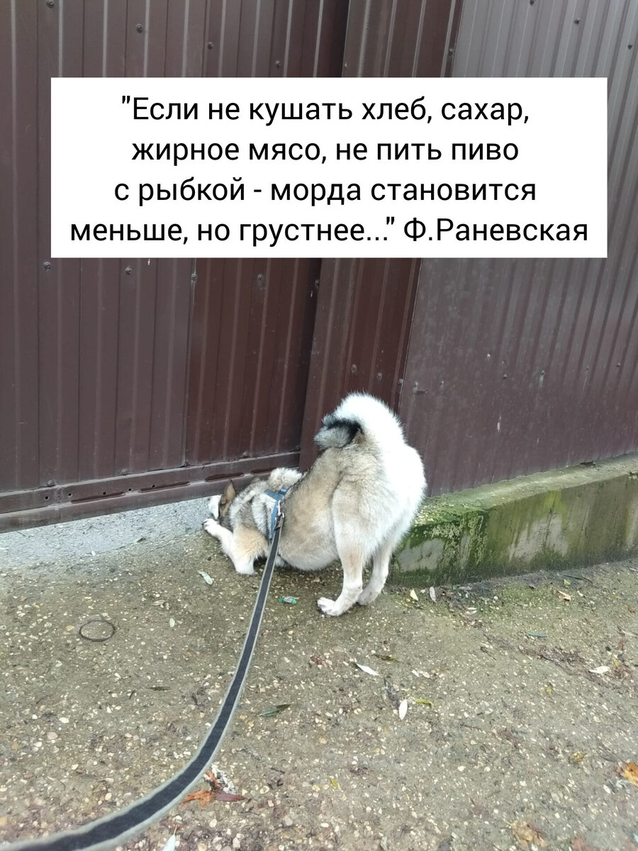 На фото Север из Подмосковья