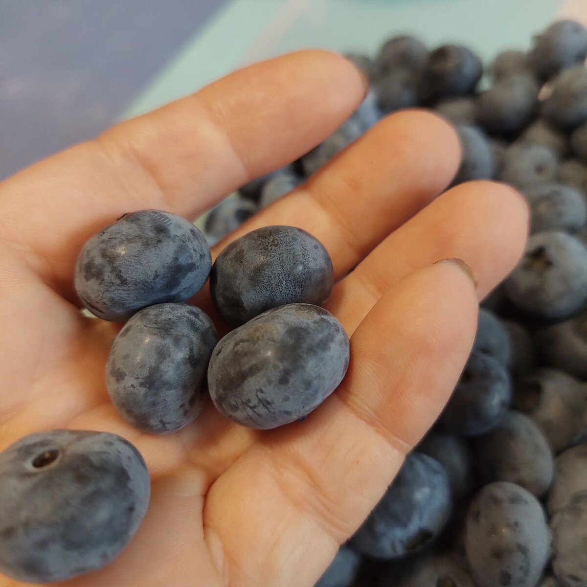 Фото из архива автора