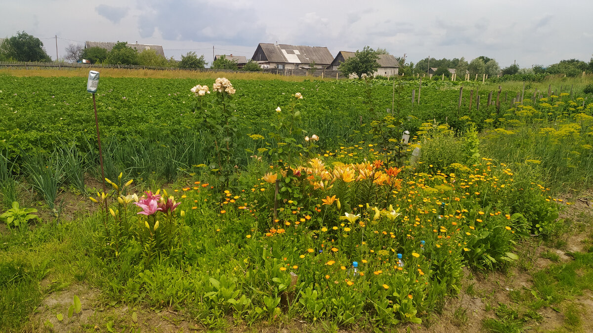 А где-то есть сёла, в которых интернета даже нет...