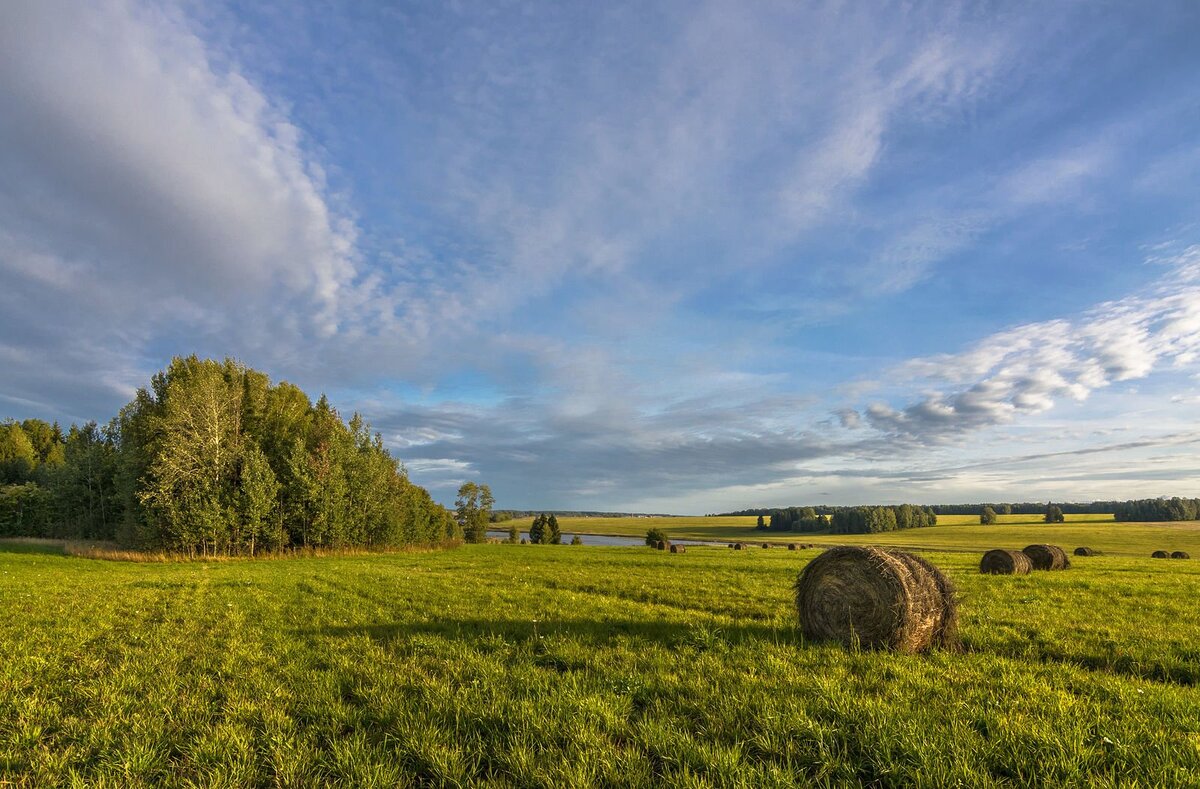 Фотография с сайта: https://vsegda-pomnim.com/priroda/10715-konec-avgusta-priroda-75-foto.html