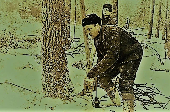 Путь домой the way back, 2010. Лесоповал в тайге заключенные. Зэки на лесоповале в сибири. Валка леса в тайге зимой. Гулаг лагерь лесоповал.