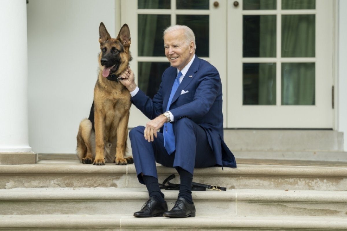    Жан-Пьер: агрессивность собаки Байдена связана с обстановкой в Белом доме