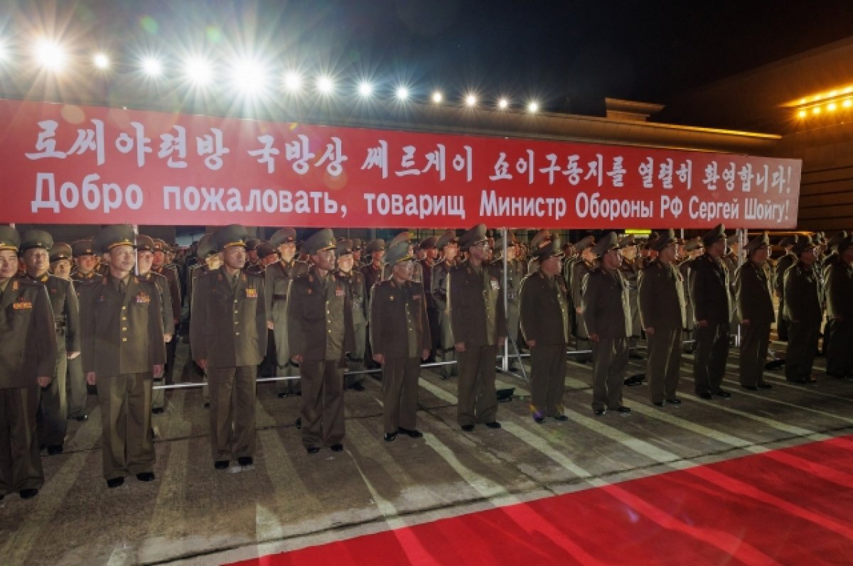    Асмолов оценил влияние визита Шойгу в КНДР на отношения РФ и Южной Кореи