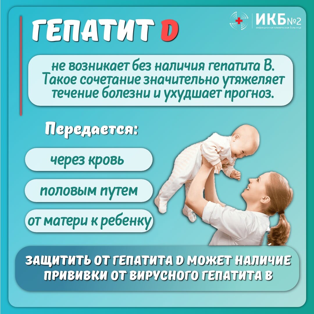 Гепатиты: что важно знать о вирусных заболеваниях печени? | Инфекционная  больница №2 города Москвы | Дзен